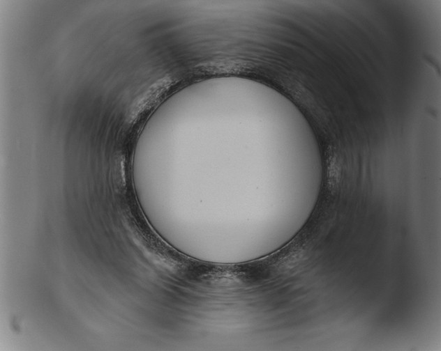 X0000103460254200809261847