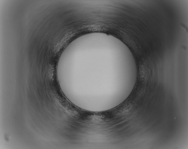 X0000103460255200809261847