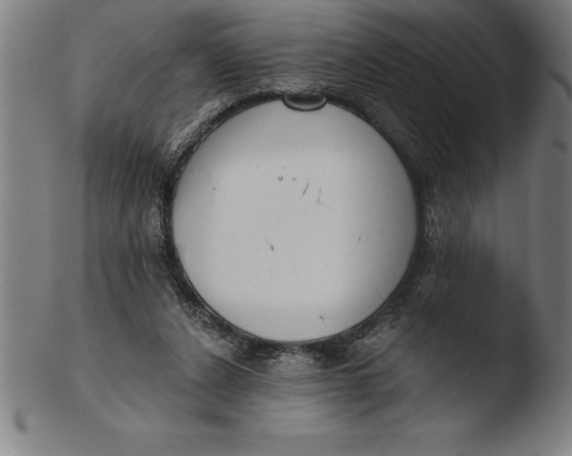 X0000103460256200809261847