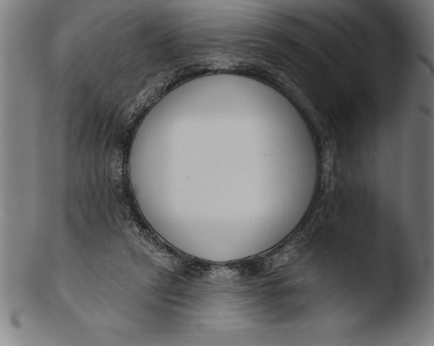 X0000103460257200809261847