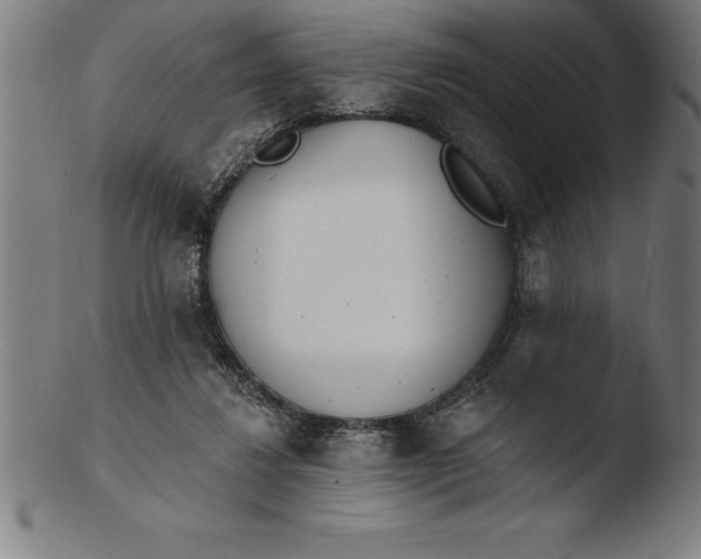 X0000103460260200809261847