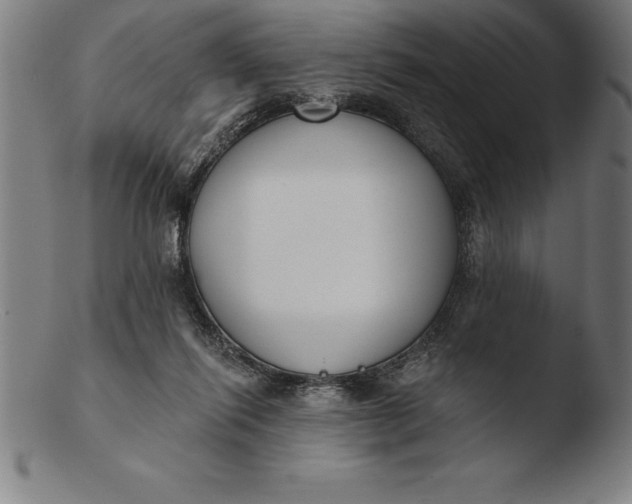 X0000103460262200809261847