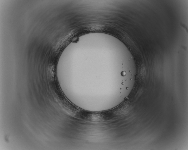 X0000103460264200809261847