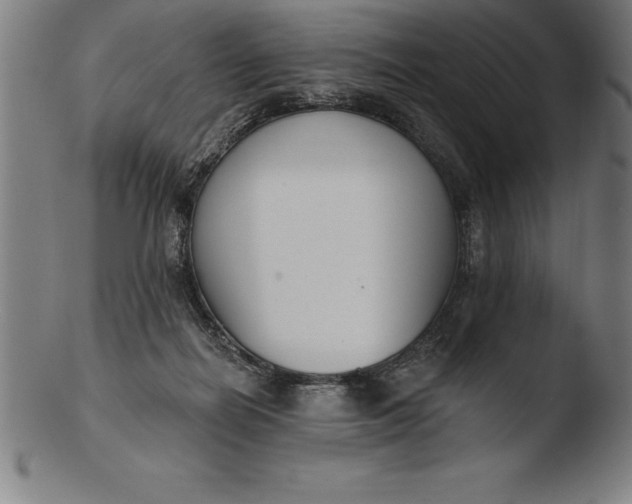 X0000103460266200809261847