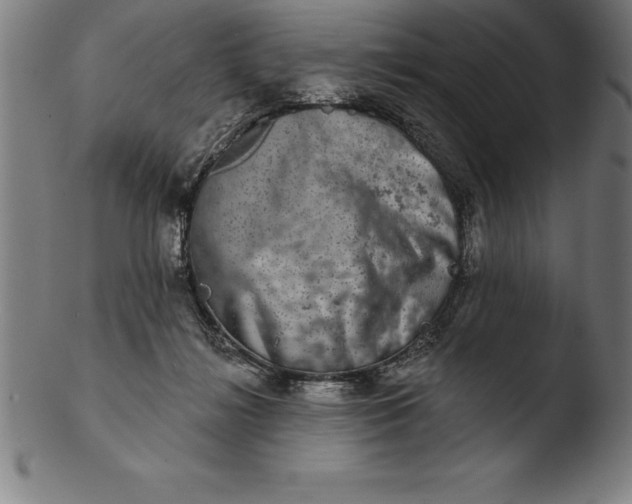 X0000103460268200809261847