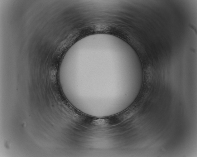 X0000103460269200809261847