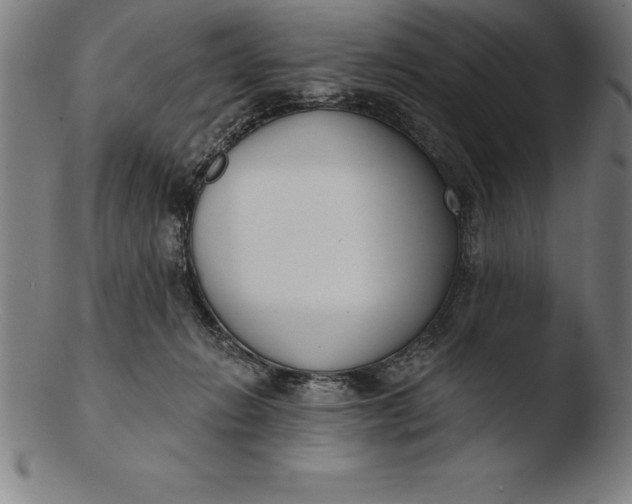 X0000103460270200809261847