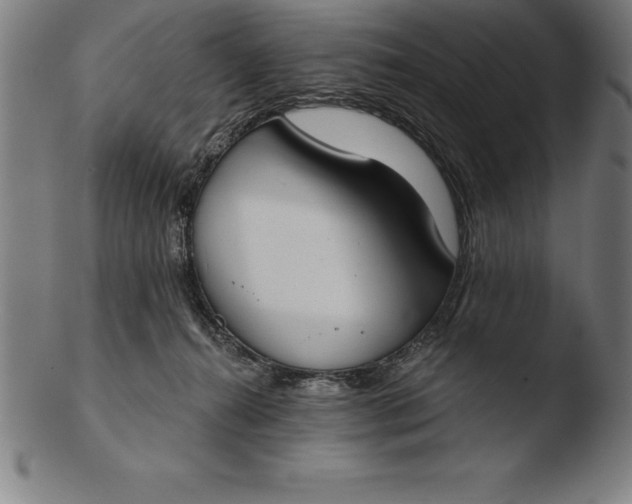 X0000103460272200809261847