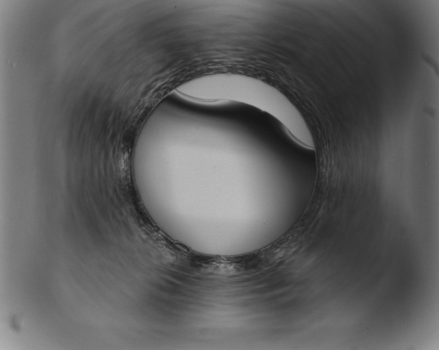 X0000103460276200809261847