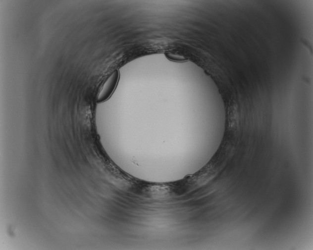 X0000103460279200809261847