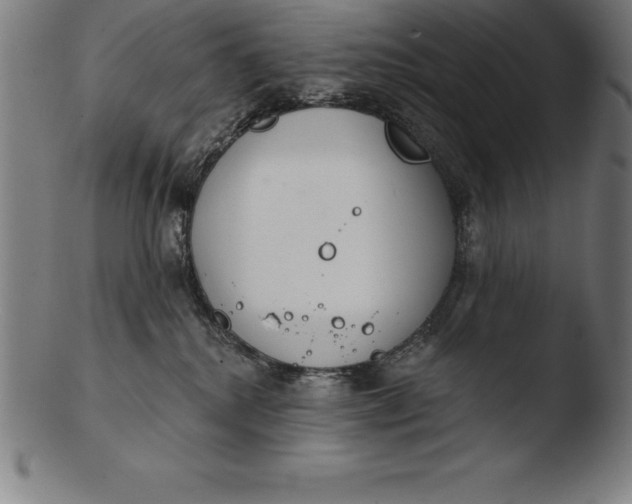 X0000103460280200809261847