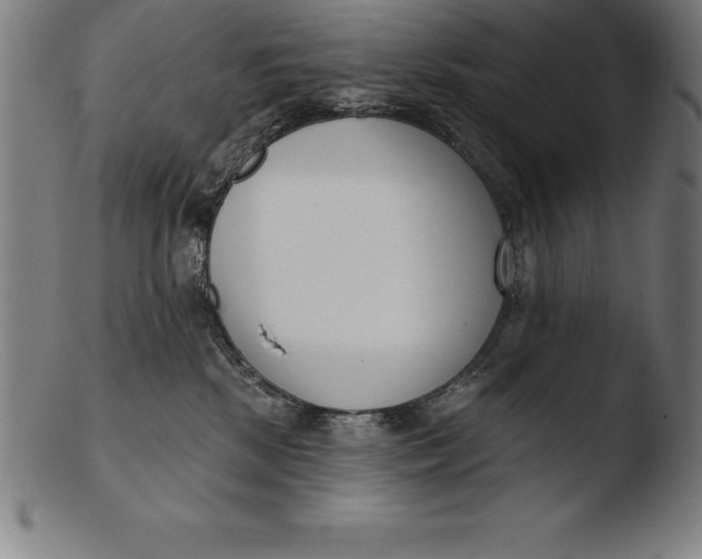 X0000103460281200809261847