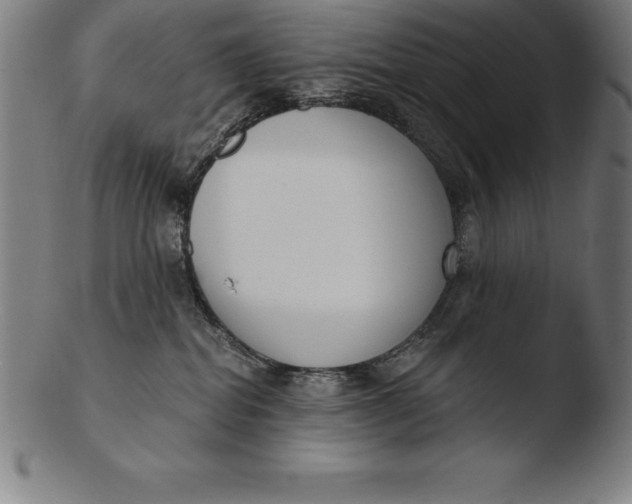 X0000103460282200809261847