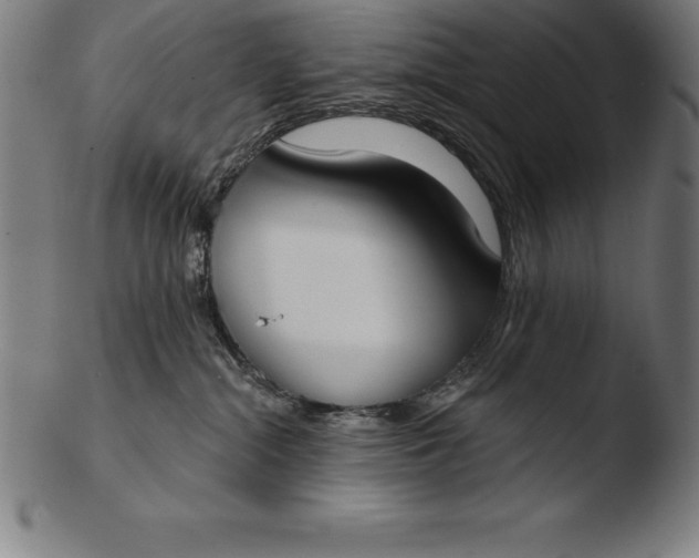 X0000103460284200809261847