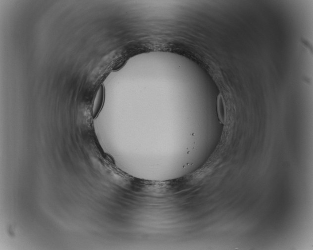 X0000103460288200809261848