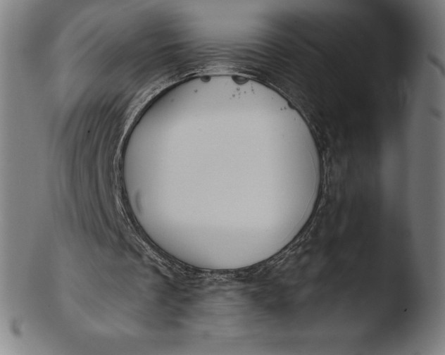 X0000103460289200809261847