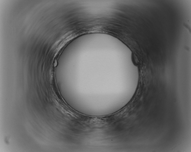 X0000103460290200809261847