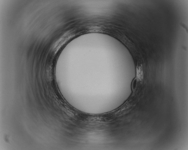 X0000103460291200809261847