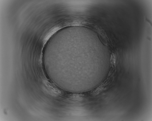 X0000103460292200809261847