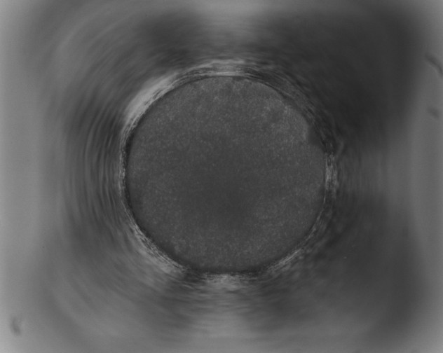 X0000103460293200809261847