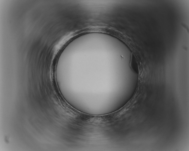 X0000103460294200809261847