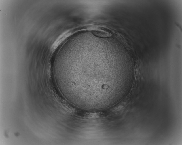 X0000103460295200809261847