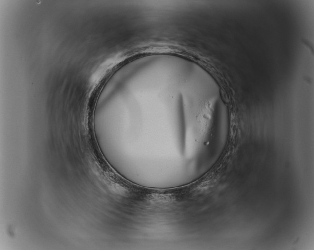 X0000103460296200809261847