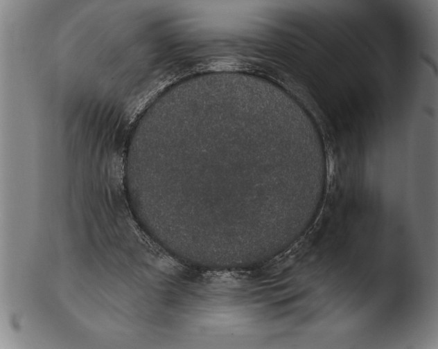 X0000103460297200809261847