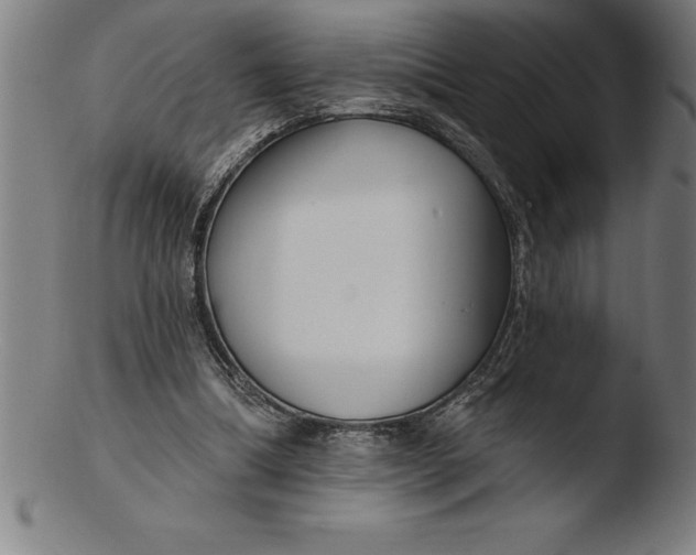 X0000103460298200809261847