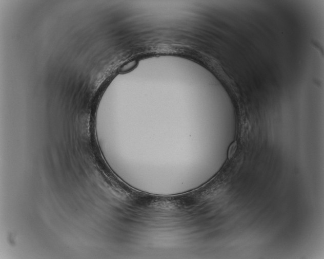 X0000103460299200809261847