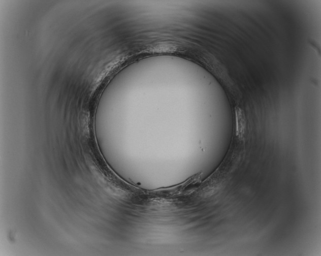 X0000103460300200809261847