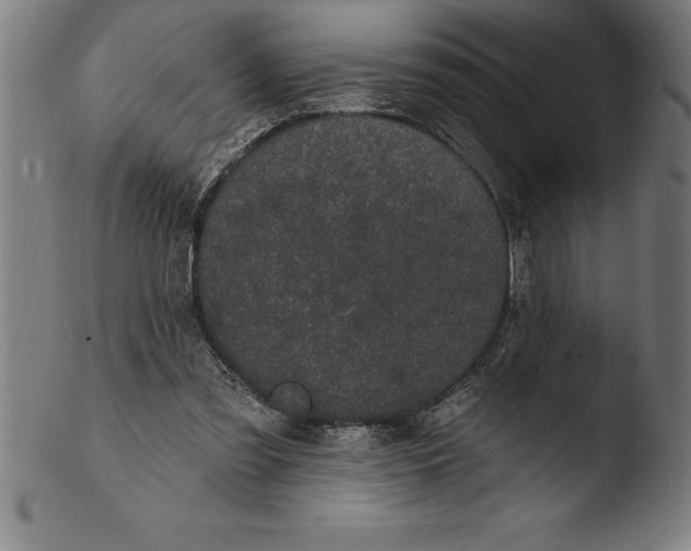 X0000103460301200809261847