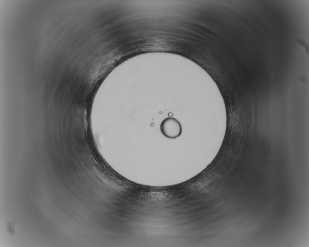 X0000103460302200809261847