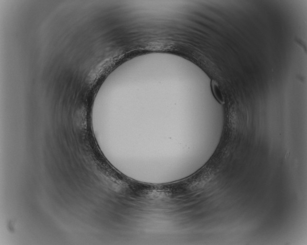 X0000103460303200809261847