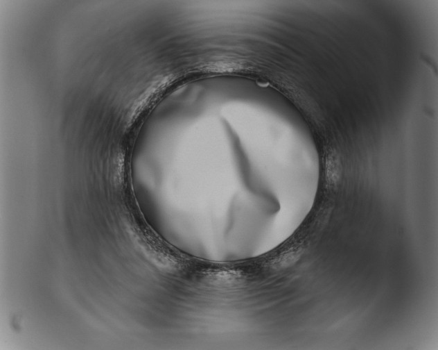 X0000103460304200809261847