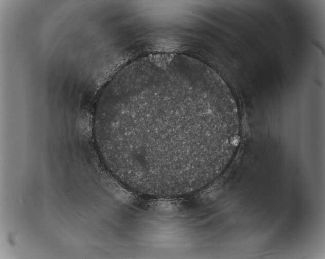 X0000103460305200809261847