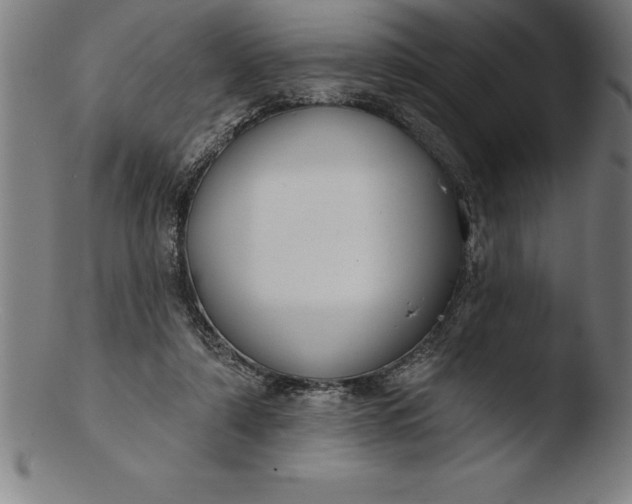 X0000103460306200809261847