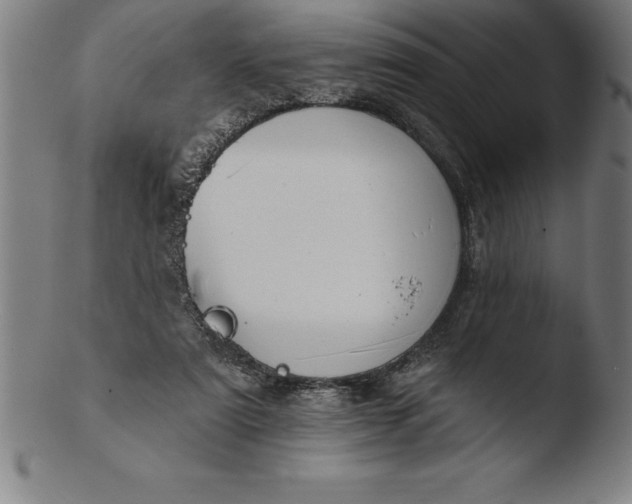 X0000103460307200809261847