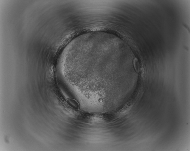 X0000103460308200809261847