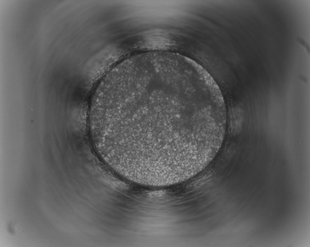 X0000103460309200809261847