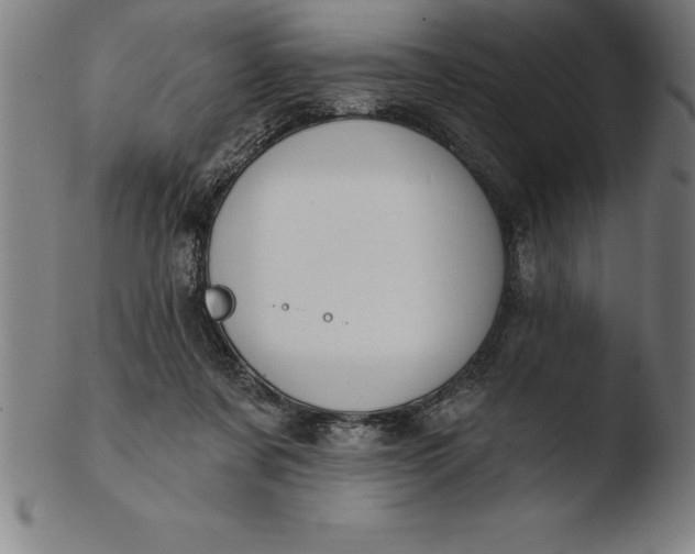 X0000103460311200809261847