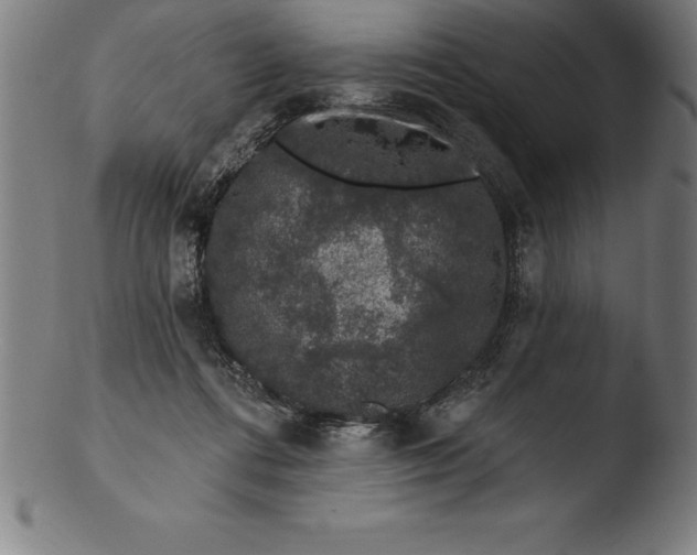 X0000103460312200809261847