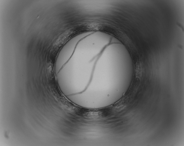 X0000103460314200809261847