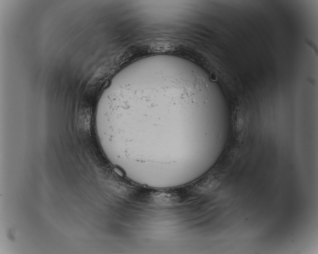 X0000103460315200809261847