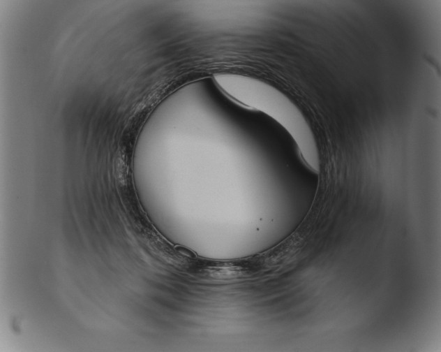 X0000103460316200809261846