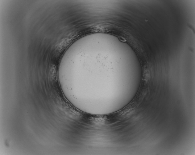 X0000103460318200809261846