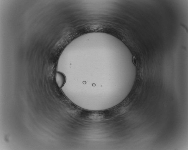 X0000103460319200809261846