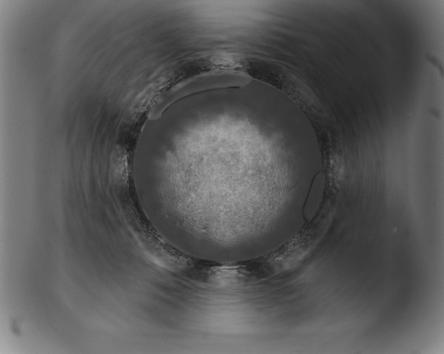 X0000103460320200809261846