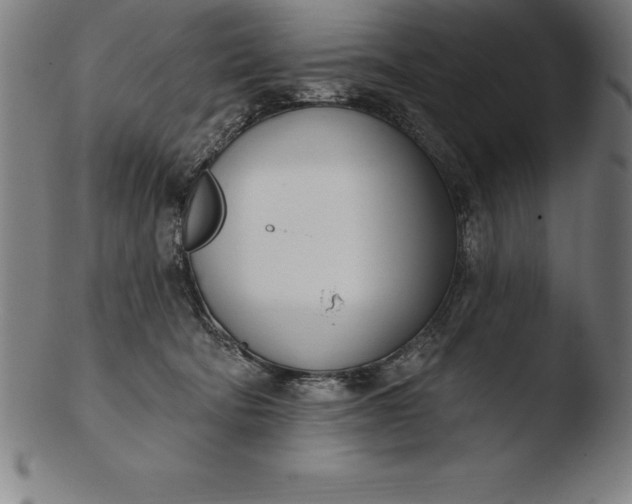 X0000103460322200809261846