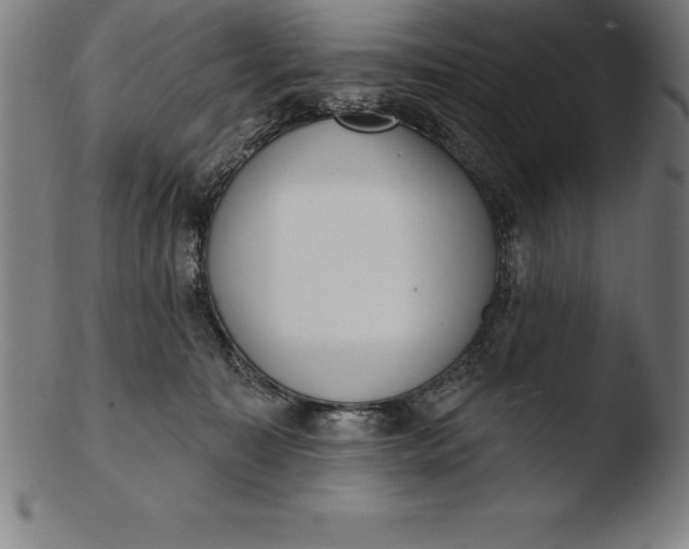 X0000103460323200809261846